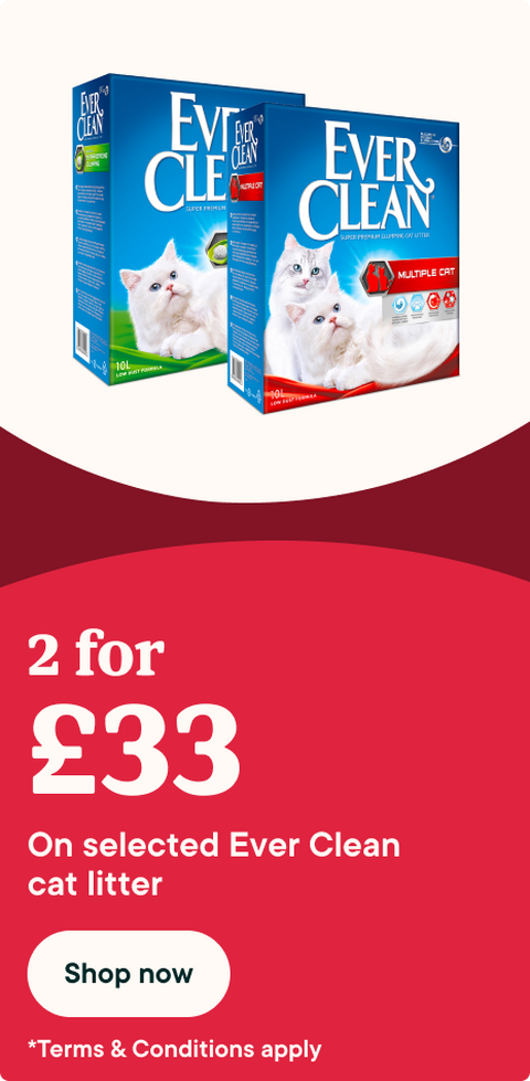 Ever Clean - 2 for £33