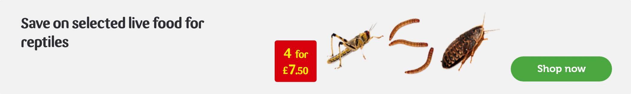 Save on selected live food for reptiles