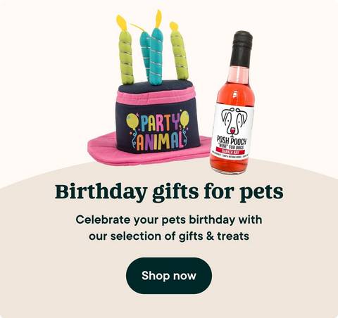 Birthday gifts for dogs