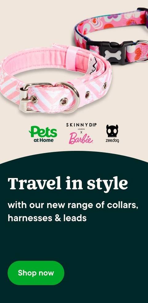 Newness - Dog Collars & Leads