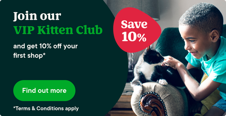 Join our free Kitten club