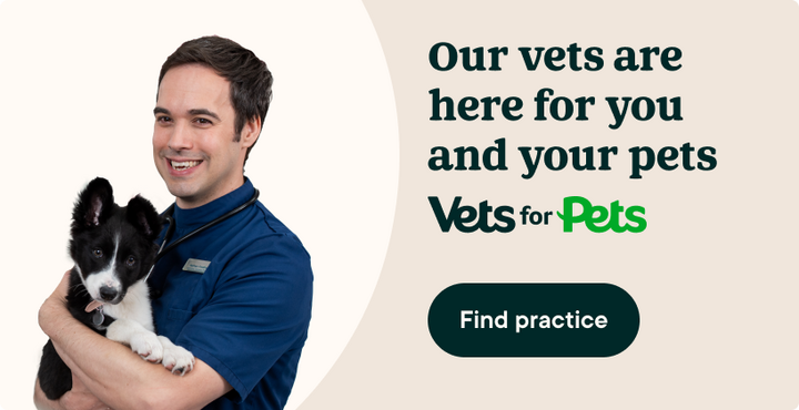 Vets4Pets Complete Care Complete peace of mind