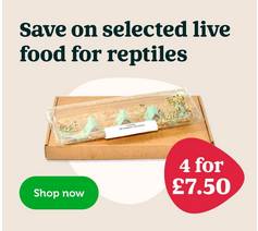Selected Reptile Food - 4 for £7