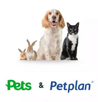 Petplan service assets
