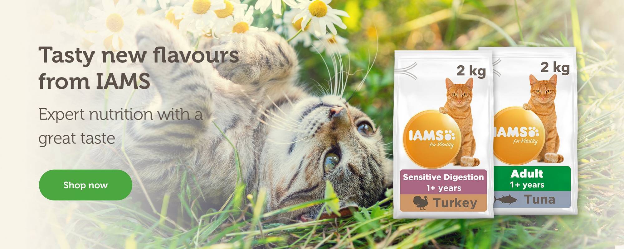 IAMS - Cat food new in