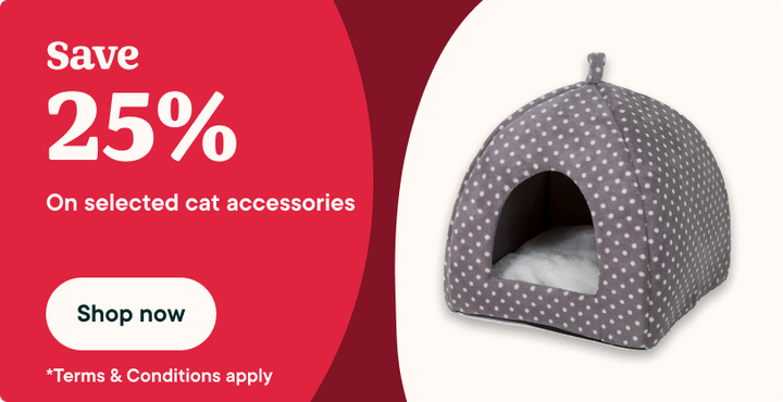 Save 25% - cat accessories