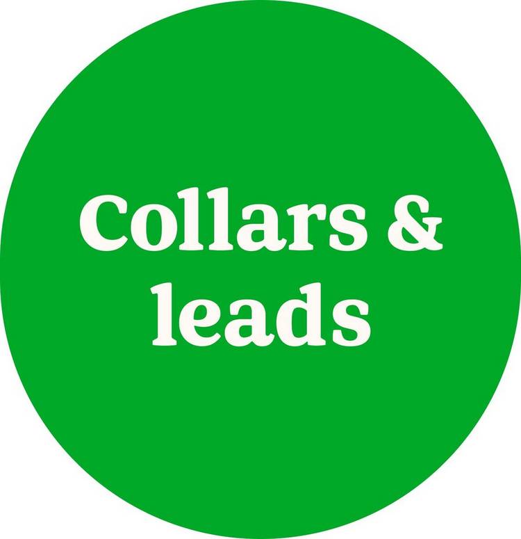 Puppy - collars & leads