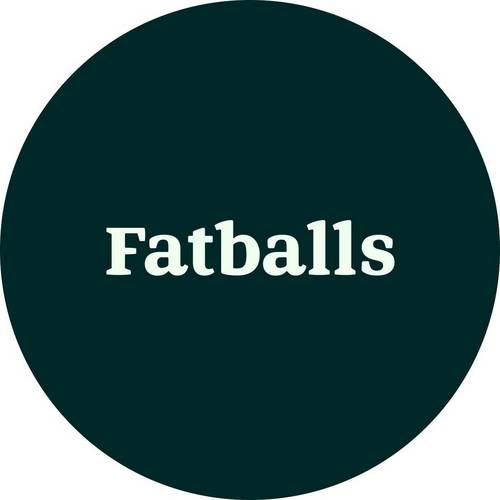Wild bird - Fat Balls