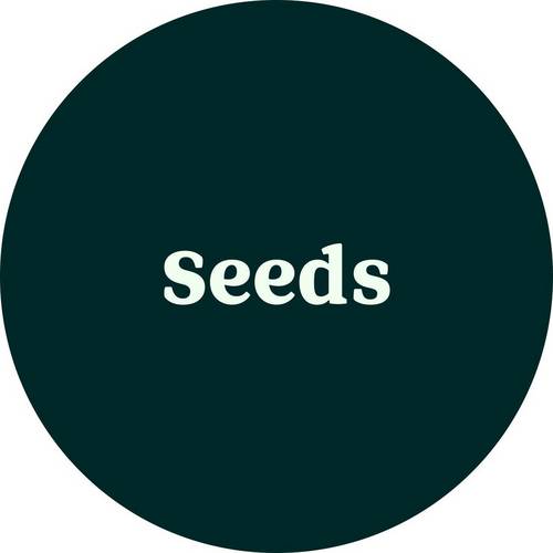 Wild bird - Seeds