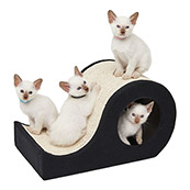 WLTX-Pet Cat Toy Mall，Focus on pet cat toys